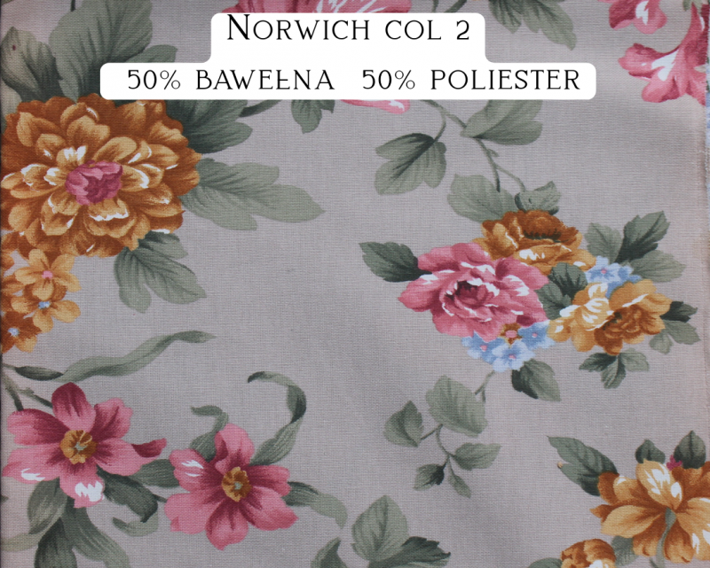 Norwich col.2